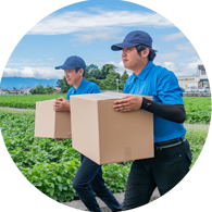 チャーター/スポット便